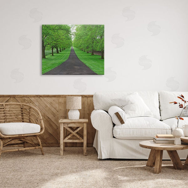 Stupell Industries Dennis Frates | Tree Grove Path Landscape Wall Art
