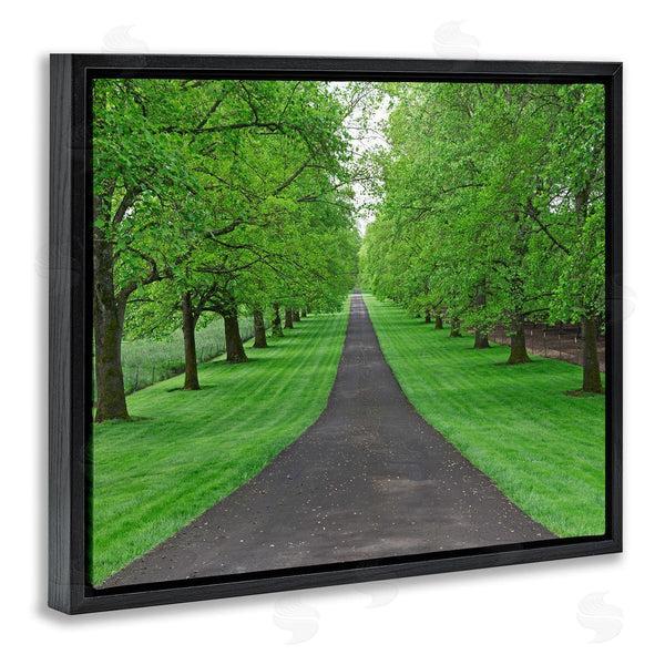 Stupell Industries Dennis Frates | Tree Grove Path Landscape Wall Art