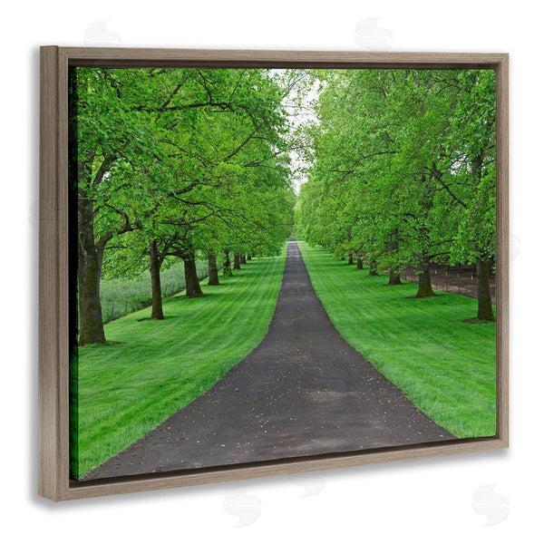 Stupell Industries Dennis Frates | Tree Grove Path Landscape Wall Art