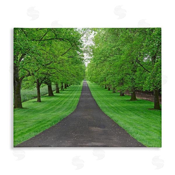 stupell industries Dennis Frates | Tree Grove Path Landscape Wall Art