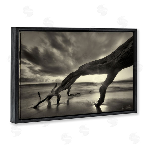 Stupell Industries Dennis Frates | Tree Trunk On Shore
