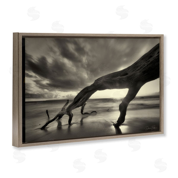 Stupell Industries Dennis Frates | Tree Trunk On Shore