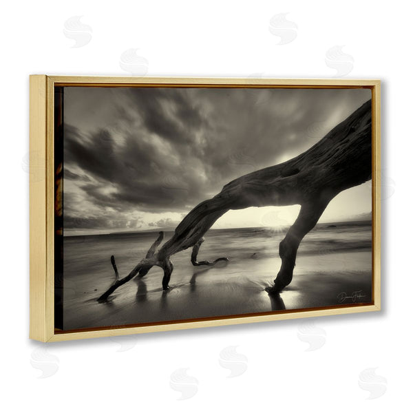 Stupell Industries Dennis Frates | Tree Trunk On Shore