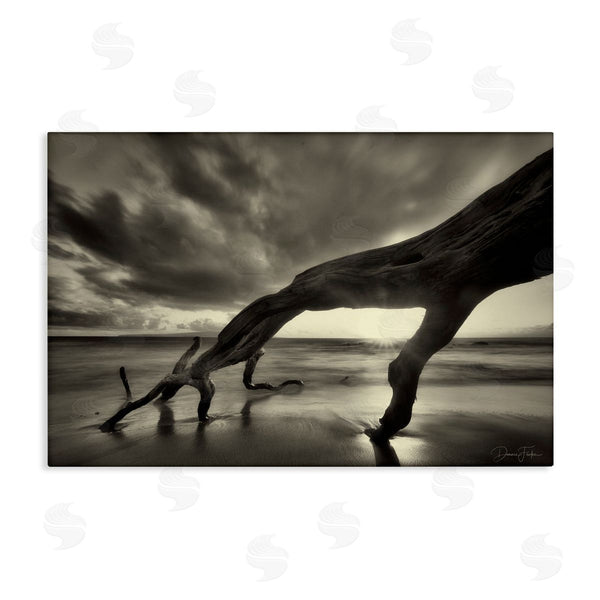 stupell industries Dennis Frates | Tree Trunk on Shore