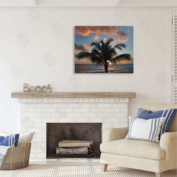 Stupell Industries Dennis Frates | Tropical Palm Photography Wall Art