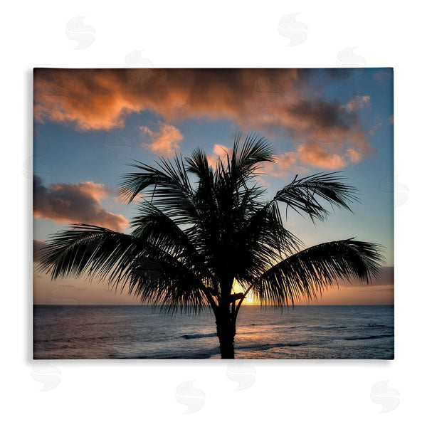 stupell industries Dennis Frates | Tropical Palm Photography Wall Art