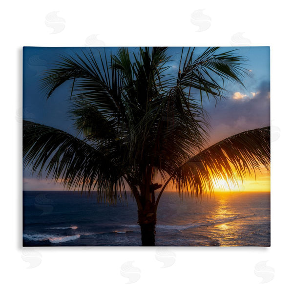 stupell industries Dennis Frates | Tropical Palm Sunset Wall Art