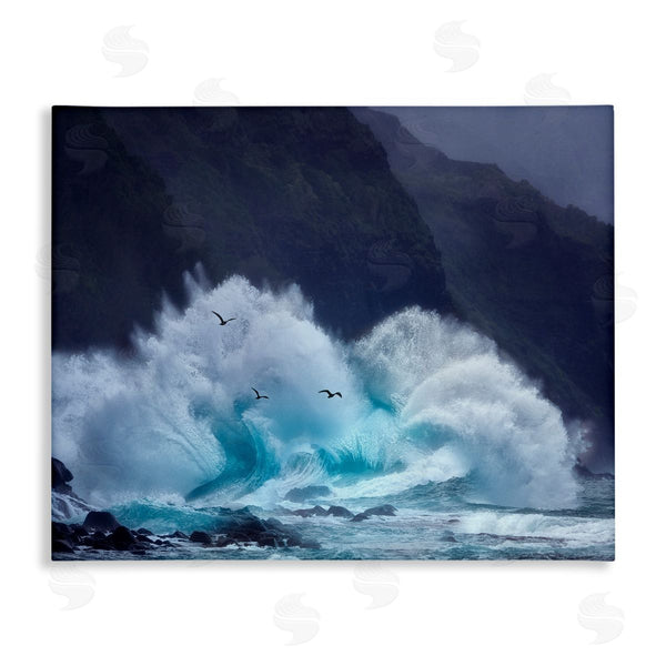 stupell industries Dennis Frates | Tsunami Waves Landscape Wall Art
