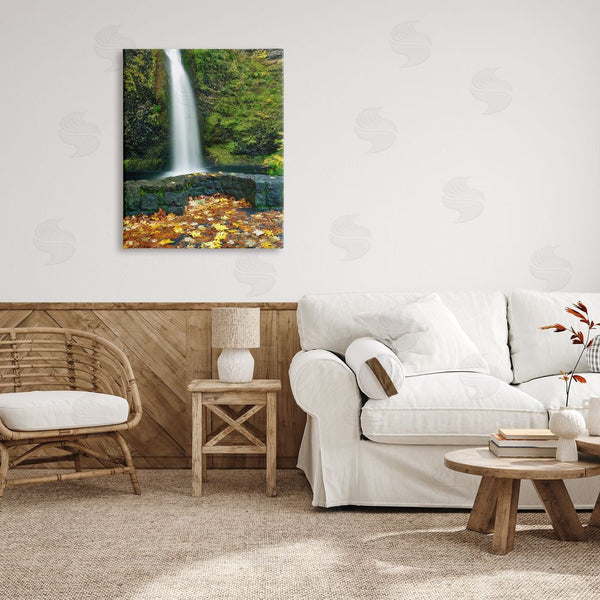 Stupell Industries Dennis Frates | Waterfall Foliage Photography Wall Art