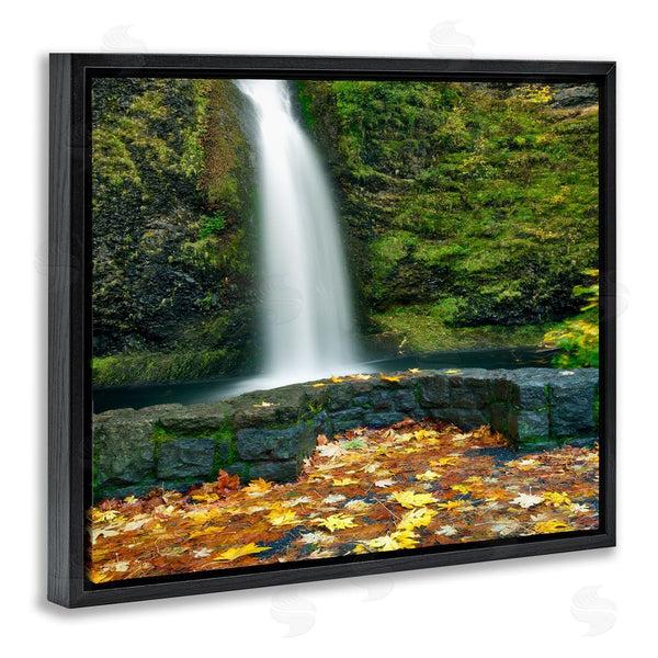 Stupell Industries Dennis Frates | Waterfall Foliage Photography Wall Art
