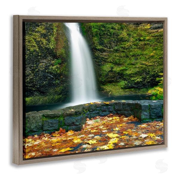 Stupell Industries Dennis Frates | Waterfall Foliage Photography Wall Art