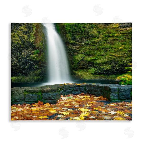 stupell industries Dennis Frates | Waterfall Foliage Photography Wall Art