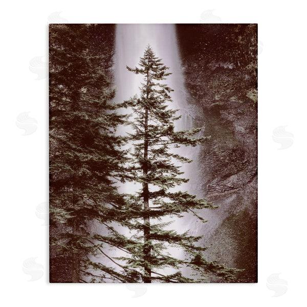 stupell industries Dennis Frates | Waterfall Nature Photography Wall Art