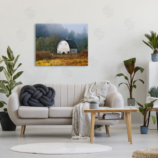 Stupell Industries Dennis Frates | White Barn Woodland Clearing Wall Art