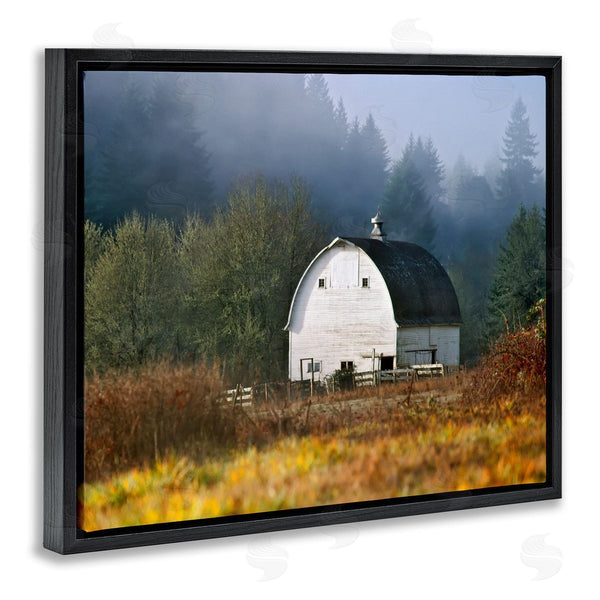 Stupell Industries Dennis Frates | White Barn Woodland Clearing Wall Art
