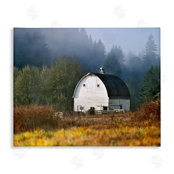 stupell industries Dennis Frates | White Barn Woodland Clearing Wall Art