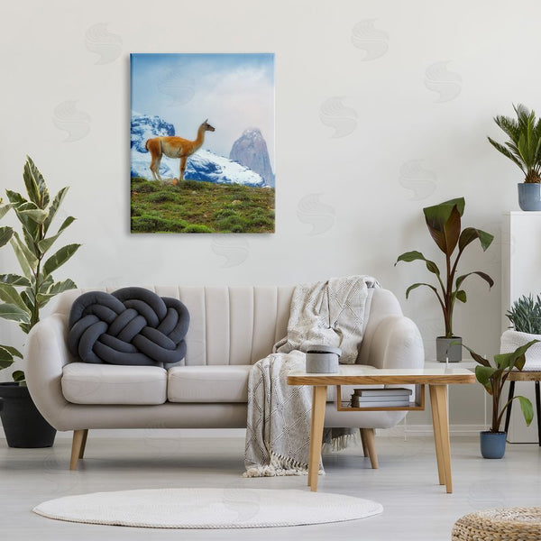 Stupell Industries Dennis Frates | Wild Llama Photography Wall Art