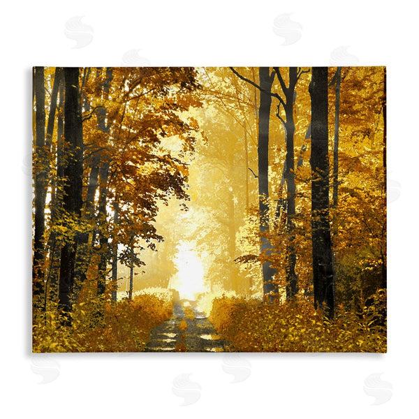 stupell industries Derek Scott | Autumn Path Landscape Wall Art