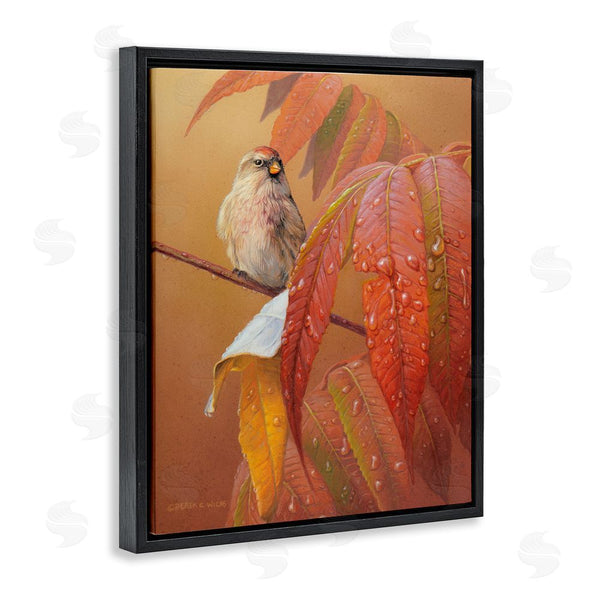 Stupell Industries Derek Wicks | Bird On Autumnal Branch Wall Art