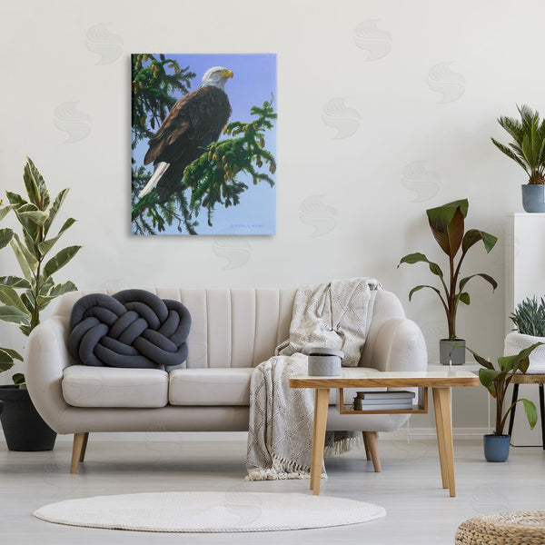 Stupell Industries Derek Wicks | Eagle On Fir Branch Wall Art