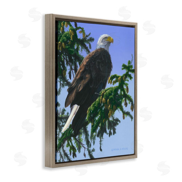 Stupell Industries Derek Wicks | Eagle On Fir Branch Wall Art