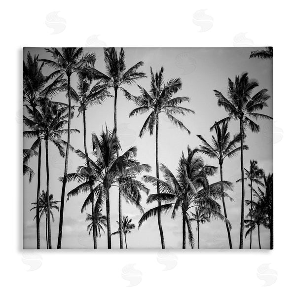 stupell industries Design Fabrikken | Black & White Palm Trees Skyline