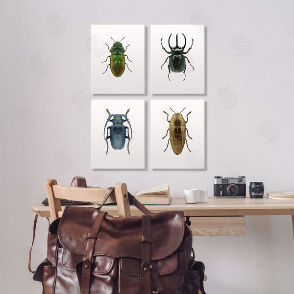 Stupell Industries Design Fabrikken | Colorful Insect Collection Photographs Wall Art