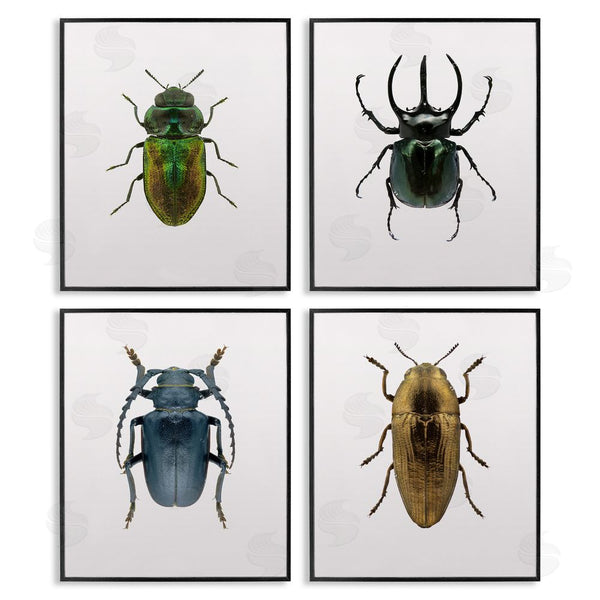Stupell Industries Design Fabrikken | Colorful Insect Collection Photographs Wall Art