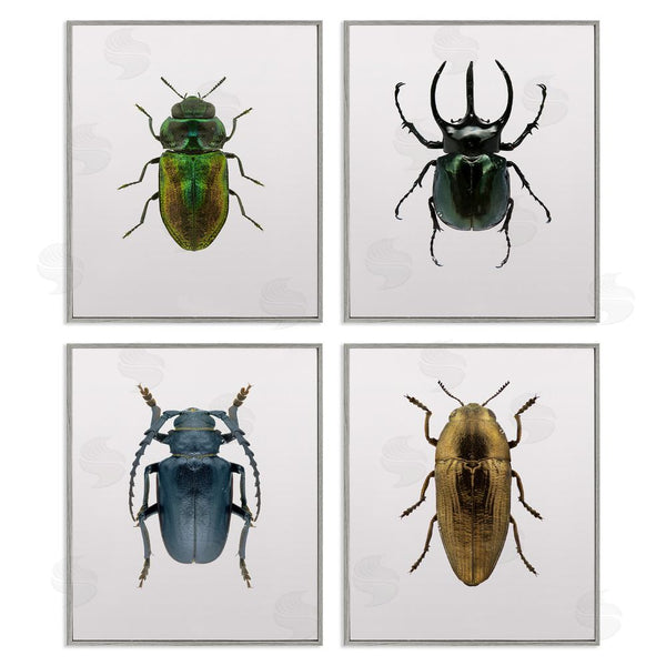 Stupell Industries Design Fabrikken | Colorful Insect Collection Photographs Wall Art