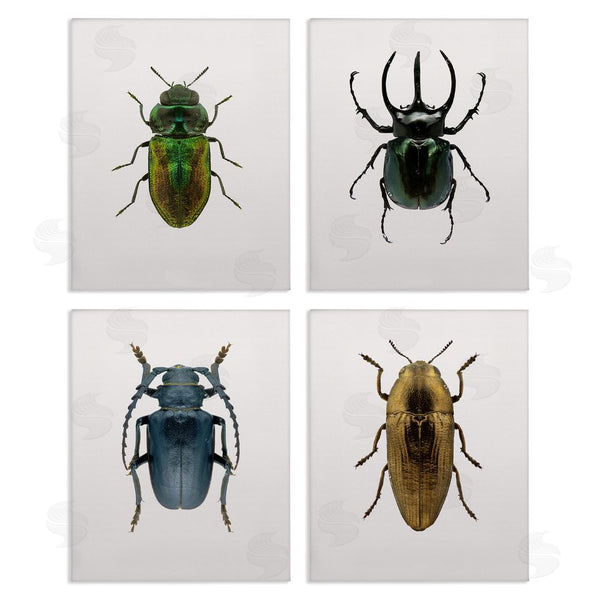 stupell industries Design Fabrikken | Colorful Insect Collection Photographs Wall Art