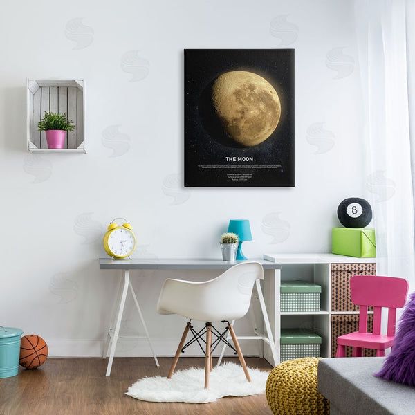Stupell Industries Design Fabrikken | Earth's Moon Celestial Facts Wall Art