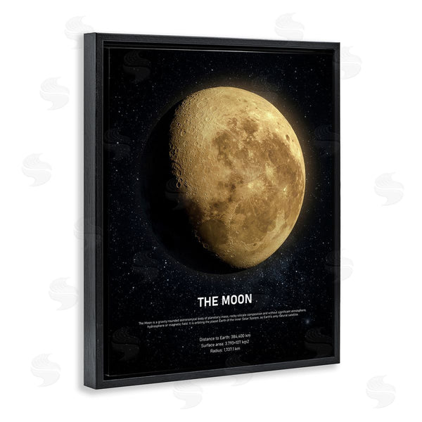 Stupell Industries Design Fabrikken | Earth's Moon Celestial Facts Wall Art