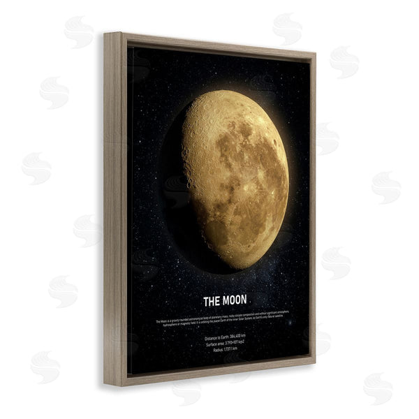 Stupell Industries Design Fabrikken | Earth's Moon Celestial Facts Wall Art
