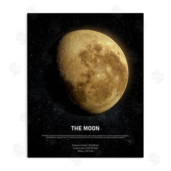 stupell industries Design Fabrikken | Earth's Moon Celestial Facts Wall Art