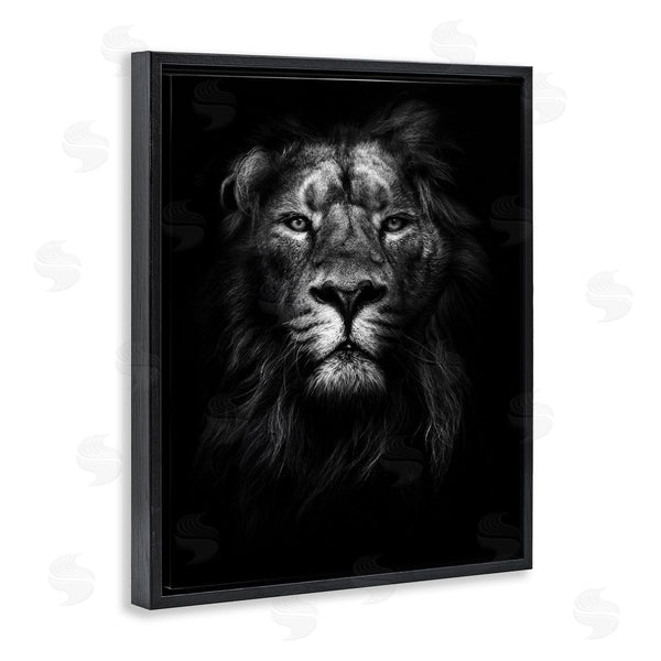 Stupell Industries Design Fabrikken | Lion In Shadows Photography