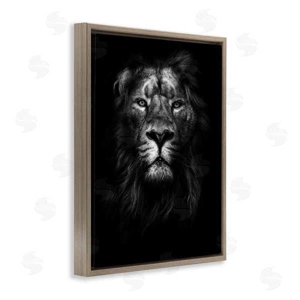 Stupell Industries Design Fabrikken | Lion In Shadows Photography