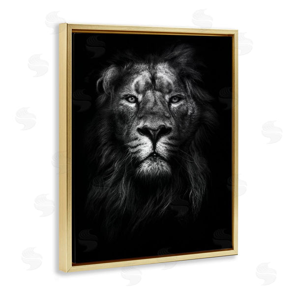 Stupell Industries Design Fabrikken | Lion In Shadows Photography