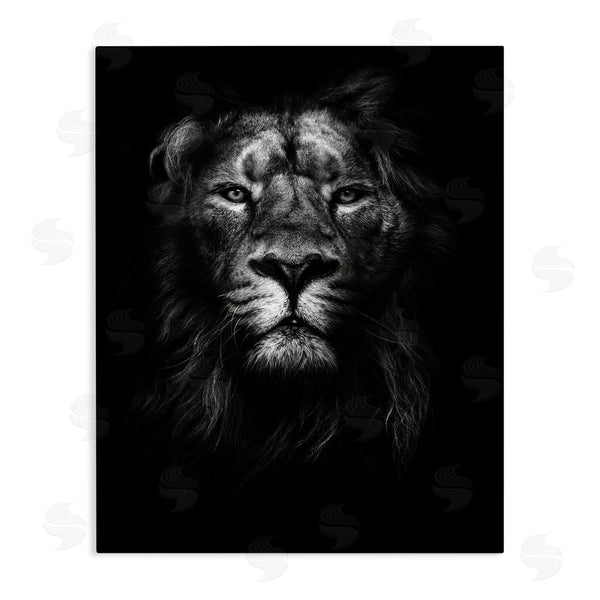 stupell industries Design Fabrikken | Lion In Shadows Photography