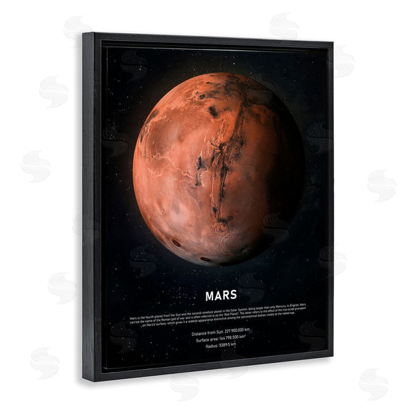 Stupell Industries Design Fabrikken | Mars Red Planet Infographic Astrological Facts Outer Space Wall Art