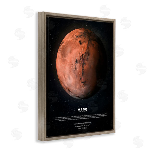 Stupell Industries Design Fabrikken | Mars Red Planet Infographic Astrological Facts Outer Space Wall Art