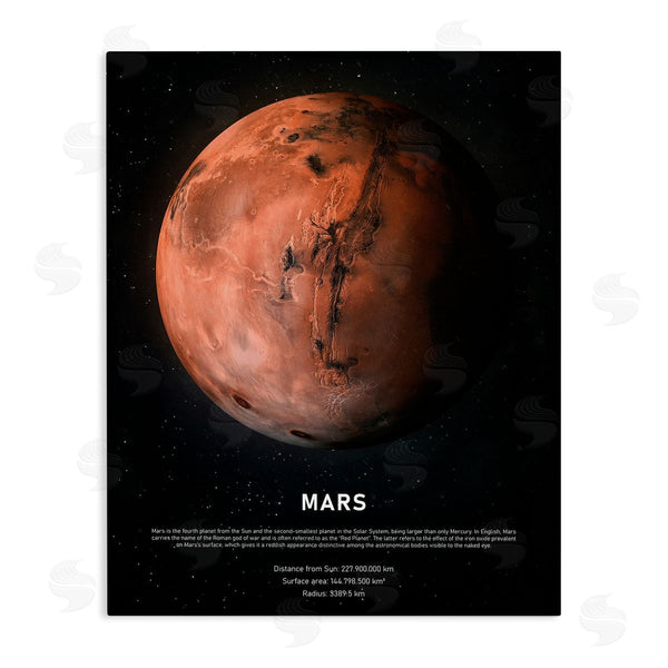 stupell industries Design Fabrikken | Mars Red Planet Infographic Astrological Facts Outer Space Wall Art