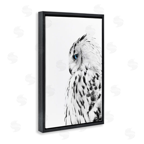 Stupell Industries Design Fabrikken | Owl With Strong Blue Gaze