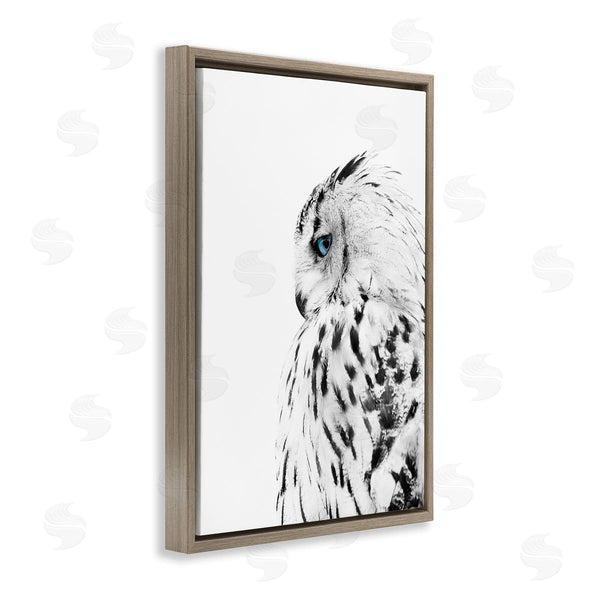 Stupell Industries Design Fabrikken | Owl With Strong Blue Gaze
