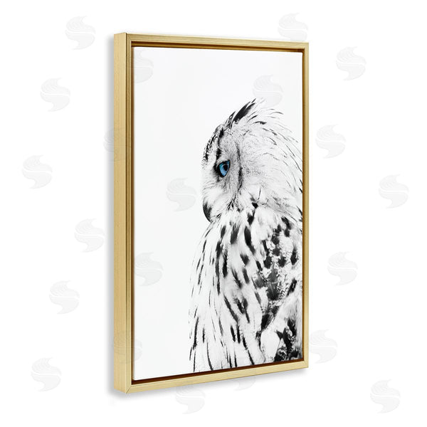 Stupell Industries Design Fabrikken | Owl With Strong Blue Gaze