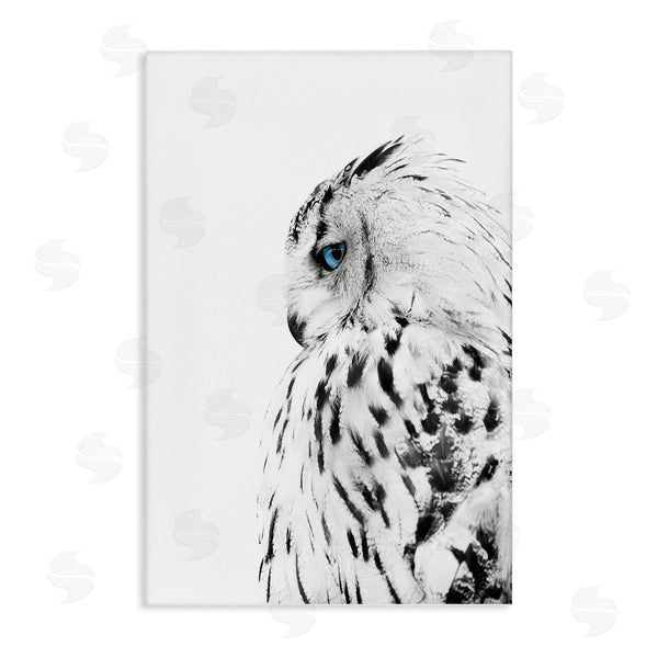 stupell industries Design Fabrikken | Owl with Strong Blue Gaze