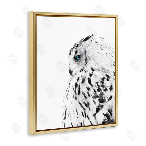 Stupell Industries Design Fabrikken | Snow Owl Peering Blue Eyes
