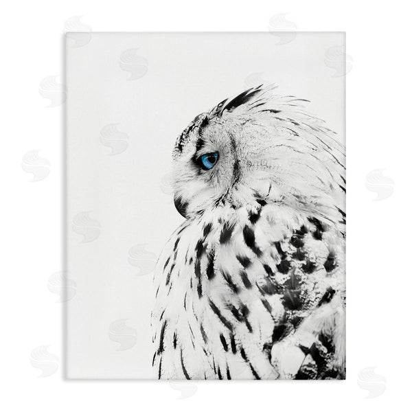 stupell industries Design Fabrikken | Snow Owl Peering Blue Eyes