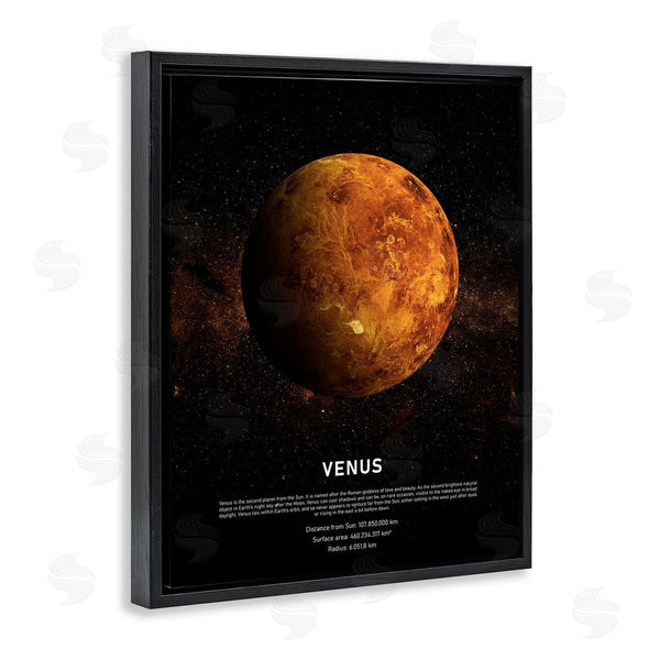 Stupell Industries Design Fabrikken | Venus Planet Infographic Milky Way Astrological Facts Wall Art