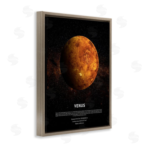 Stupell Industries Design Fabrikken | Venus Planet Infographic Milky Way Astrological Facts Wall Art