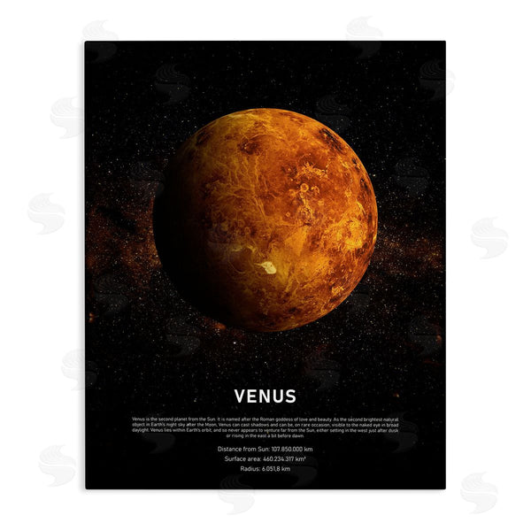 stupell industries Design Fabrikken | Venus Planet Infographic Milky Way Astrological Facts Wall Art